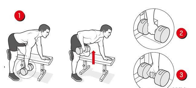 哑铃划船:哑铃划船需要借助哑铃,一般是单手俯身,单手支撑在支撑物上