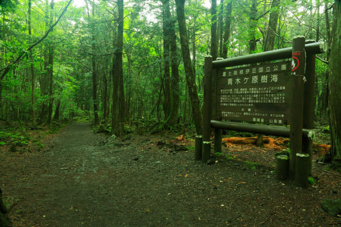 日本的青木原树海算一个,这地方位于富士山西北侧,因为地方隐秘,交通