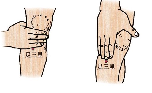 2,足三里 定位:犊鼻穴下3寸,胫骨前嵴外一横指处.