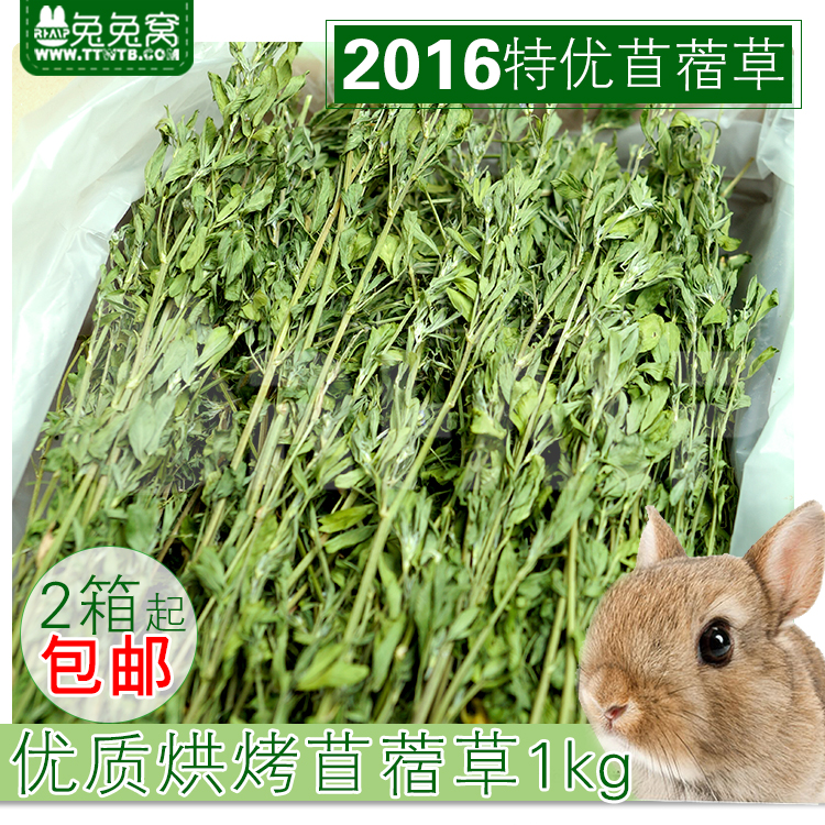 包邮 2016优质大叶苜蓿草 杆细叶多味香提草兔子龙猫 毛重1kg