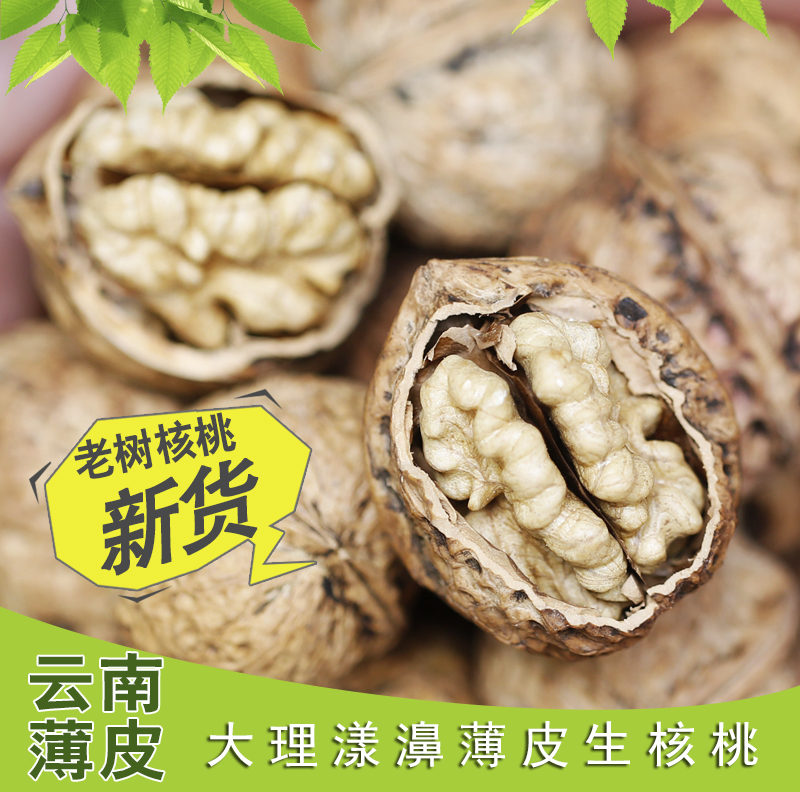 你以为买到了假纸皮核桃?不!那是一颗老树核桃