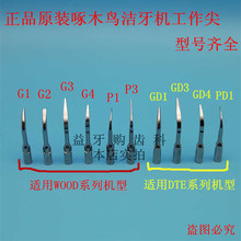 00 原装正品牙科啄木鸟洁牙机刀头工作尖配件g1 g2 g4 p1 dte洁牙机