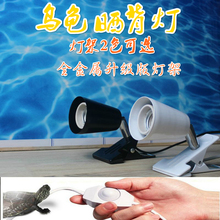 【乌龟晒背灯】_乌龟晒背灯图片_价格_一淘网