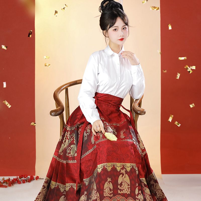 漢服中国漢民族伝統衣装明制刺繍披風-