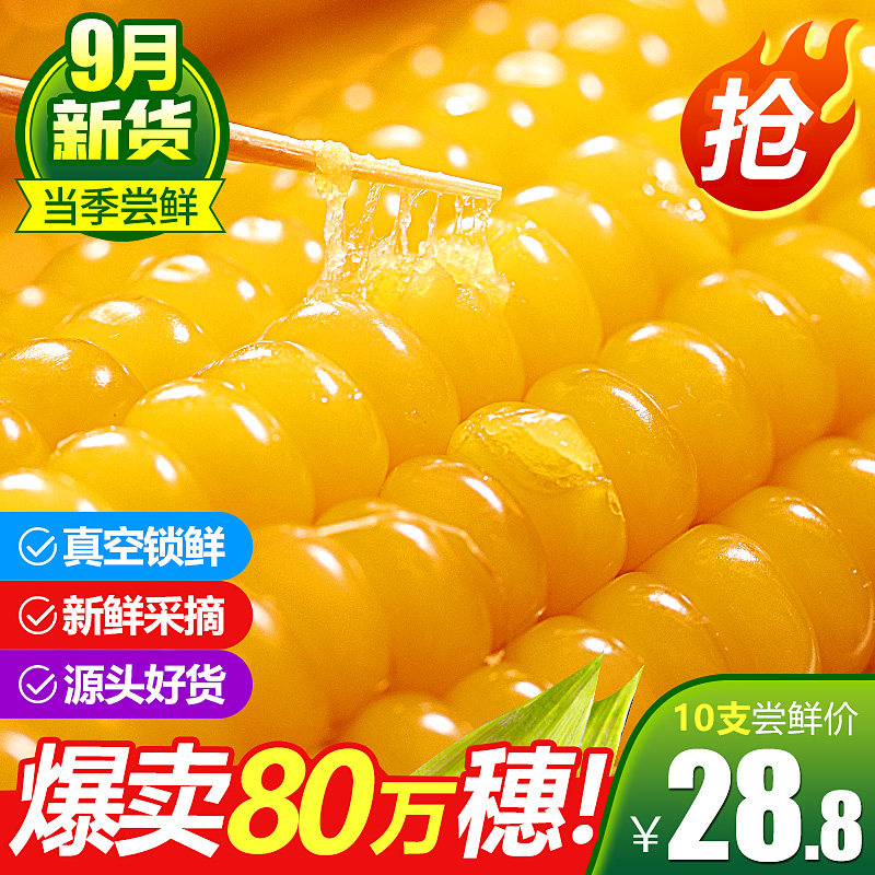 寻么玉米新鲜糯玉米东北粘低黏黄糯甜玉米棒真空10支肥非转代餐脂