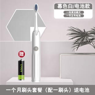 电动牙刷成人软毛男女士智能家用全自动充电式学生党软毛情侣套装
