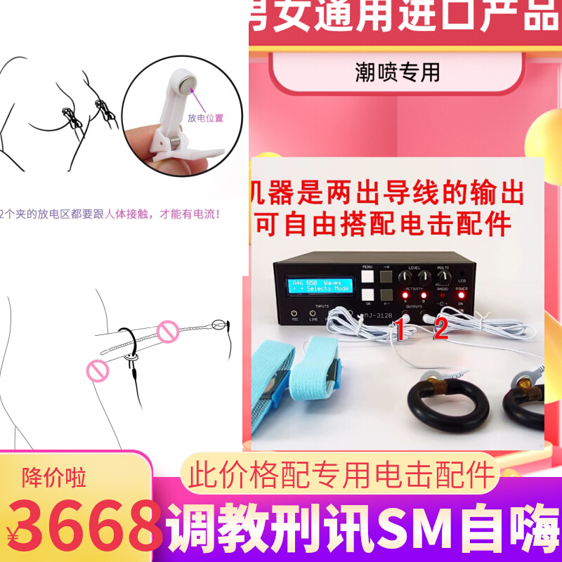 ET312B et312b 升级版MJ312B 另类SM电击情趣进口芯片地牢刑讯-Taobao
