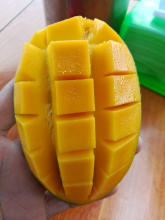 【泰国生吃芒】_泰国生吃芒图片