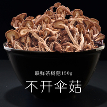 食用茶树菇