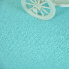 ковер 特价加厚时尚天蓝色地毯珊瑚绒地毯客厅飘窗卫浴防滑卧室满铺地毯 Warm rug wx2016