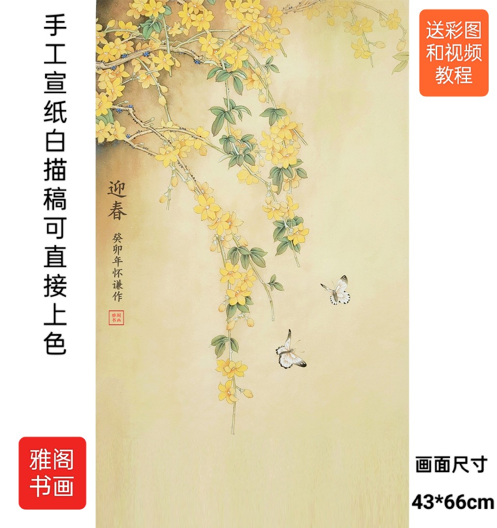 工笔国画小品玉兰底稿白描手勾熟宣可直接上色拍任意三张包邮视频