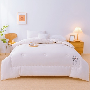 2025新款A类母婴级水洗原棉大豆纤维棉被子空调夏被芯春秋被冬被