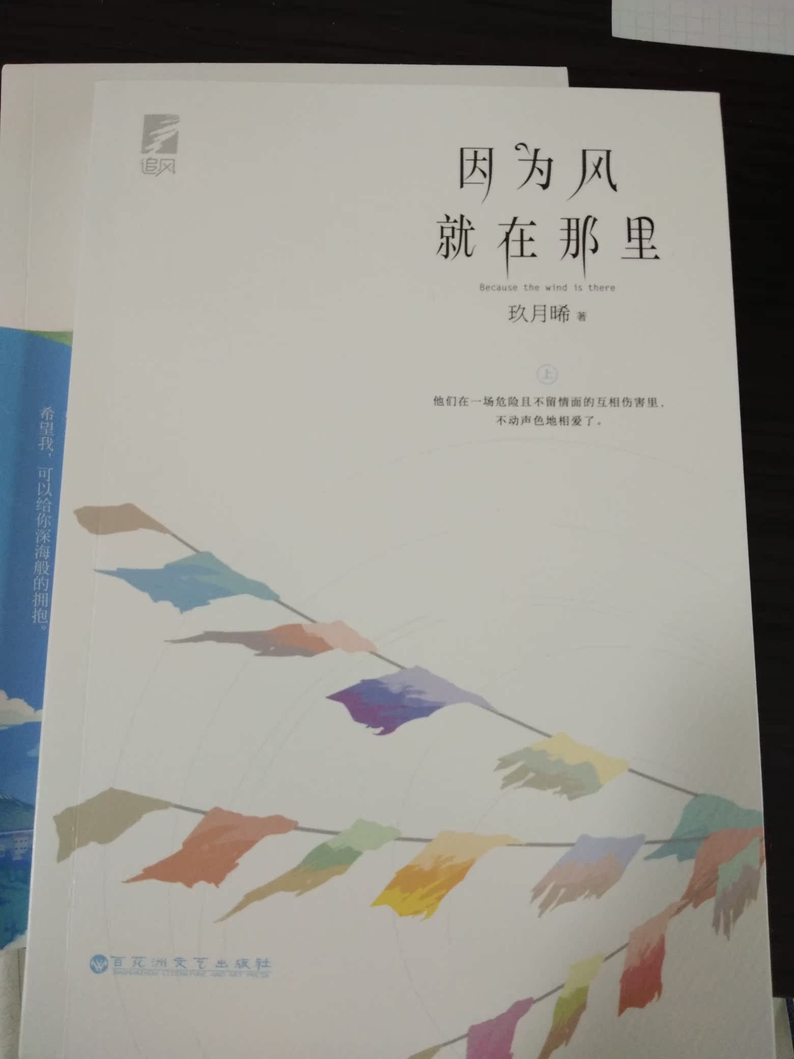 内含番外 小剧场】正版包邮 因为风就在那裏 玖月晞著 青春文学"