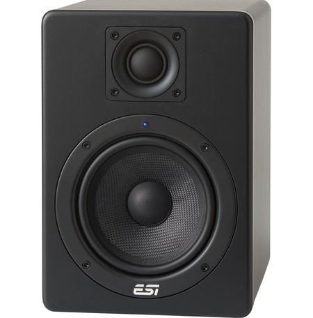 Hi-Fi акустика ESI Aktiv05