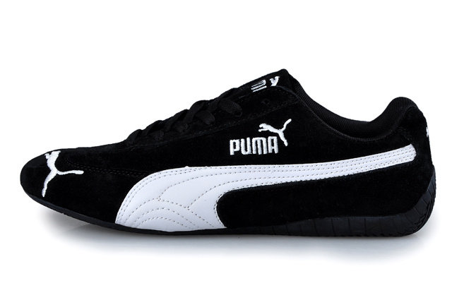 fastcat puma