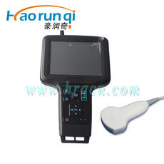 Смарт-оборудование для мониторинга за питомцами Ладони