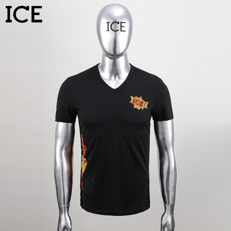   ICE