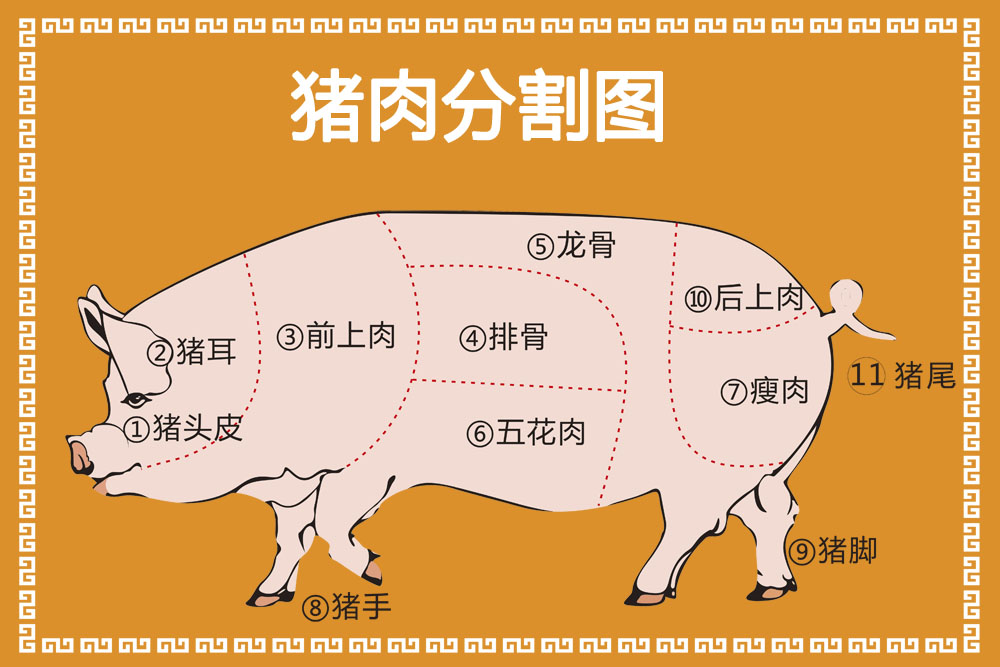 763海報印製展板寫真貼紙素材492豬肉分割圖及烹調方法