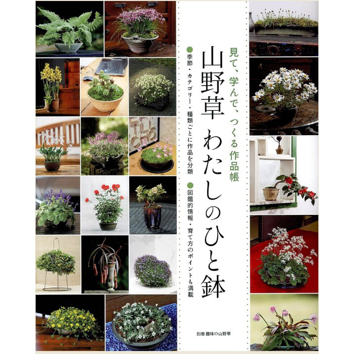 現貨山野草栽培全書日本アジアの山野草篇日本原版