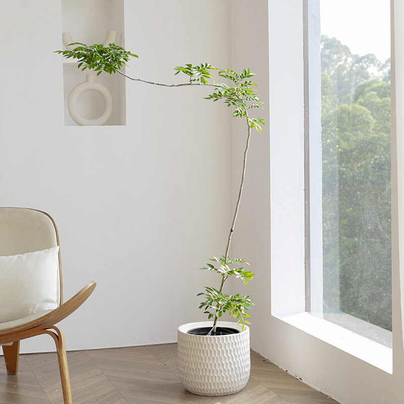 O1CN01TNWv3j1gIYJMA9svC_!!