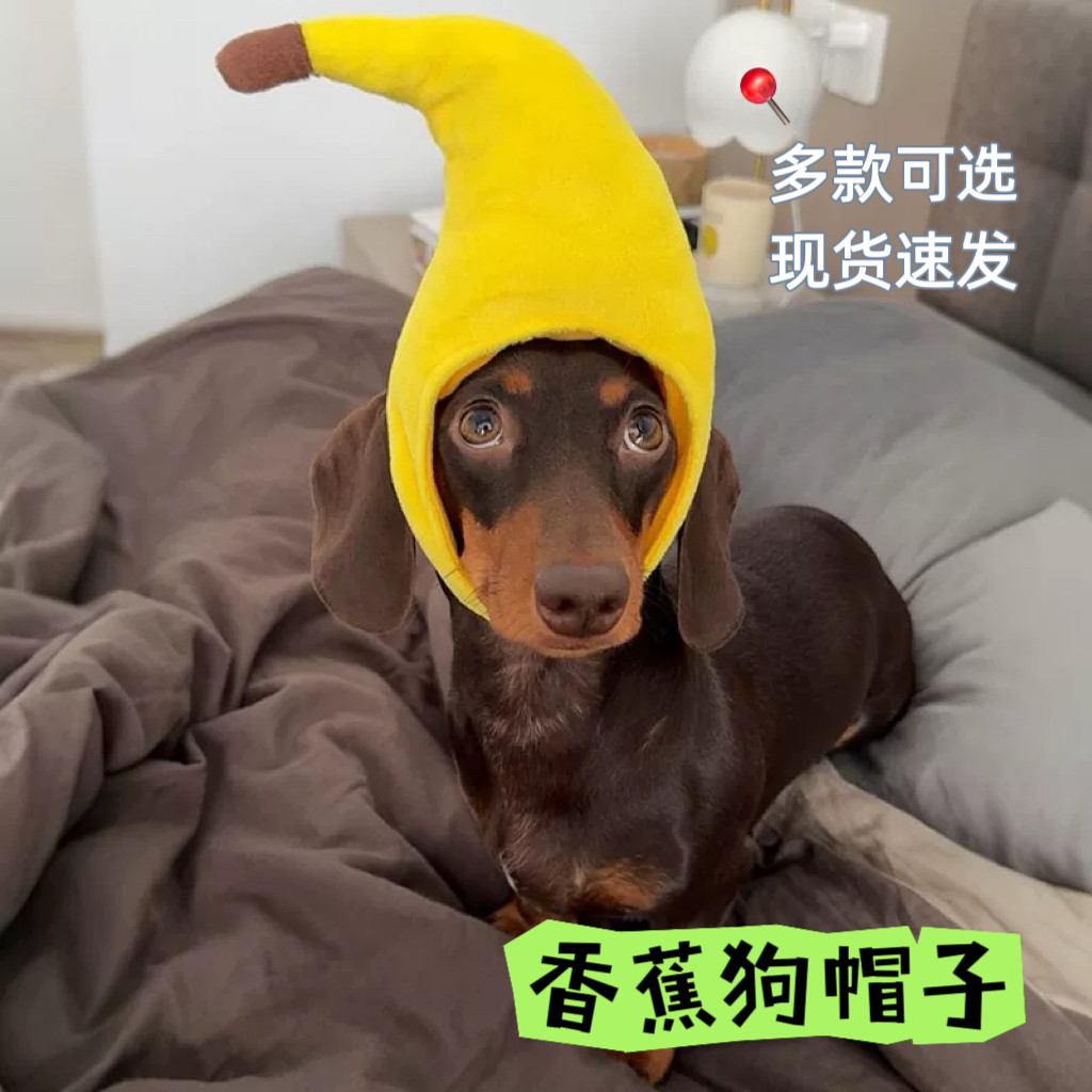 香蕉狗帽子宠物衣服头饰A创意火鸡狗狗猫咪头套腊肠泰迪小型犬用评价- 淘宝网, image size:1024x1024