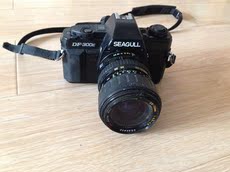 Камеры Чайка（Чайка）ДФ-300э камеры Seagull DF-300E
