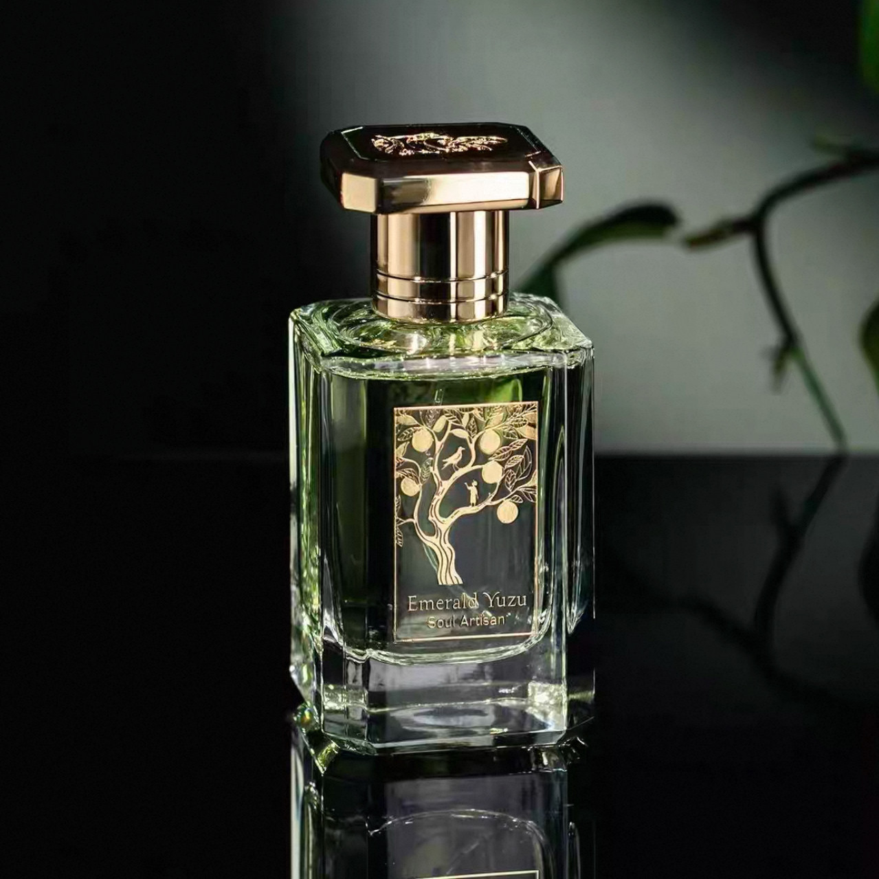 希爵夫流星系列尼奥Xerjoff Nio 香水15ml 正装简装评价- 淘宝网