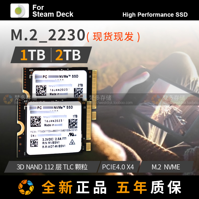 SteamDeck一代RogAlly掌机适配WDSN740专用固态硬盘SSD散热导热片-Taobao