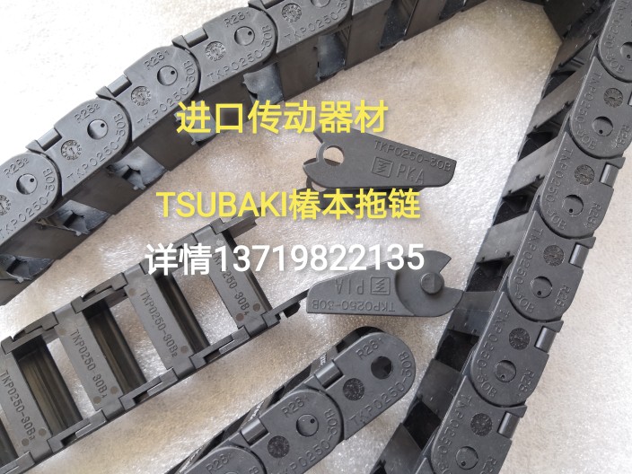 TSUBAKI椿本RS2060 2080链条A2060 A2080进口模切机传动链-Taobao