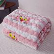 Milk Velvet Coral Flannel Mattress Cushion Household Cushion Quilt Mattress Thin Thickened Double Dormitory Single Student Milk Velvet Coral Flannel Mattress Cushion Household Cushion Quilt Mattress Thin Thickened Double Dormitory Single Student