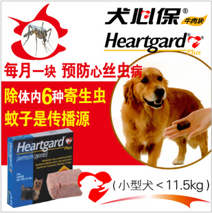 цены Наркотики Canine heart 600