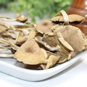 茶树菇干货250gX2