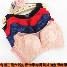 【西维娅内衣】_西维娅内衣图片_价格_一淘网