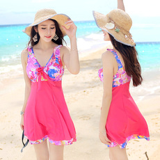 Купальник для пары 汐诗威连体裙式小胸钢托聚拢泳衣 大码保守显瘦遮肚温泉游泳衣 女