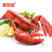 【波龙】_波龙图片