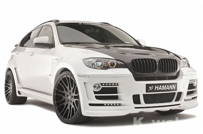 где купить Элемент салона Lions special BMW E71/X6 HAMANN по лучшей цене