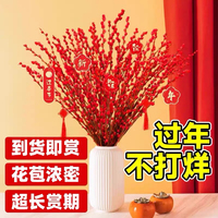 银柳干花鲜枝真花红色福桶年宵花