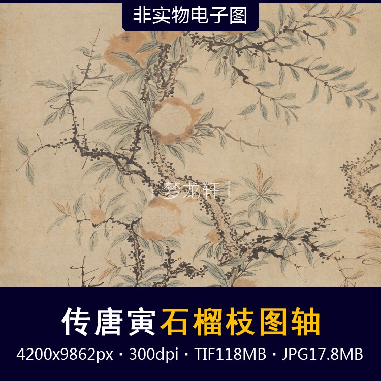 郎世宁花鸟图轴清代名画院体派工笔花鸟画国画电子图素材-Taobao