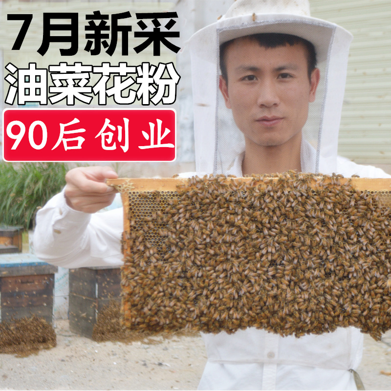新鮮荷花粉花粉天然正品蜂花粉自產蓮花粉500g媲美新西蘭花粉