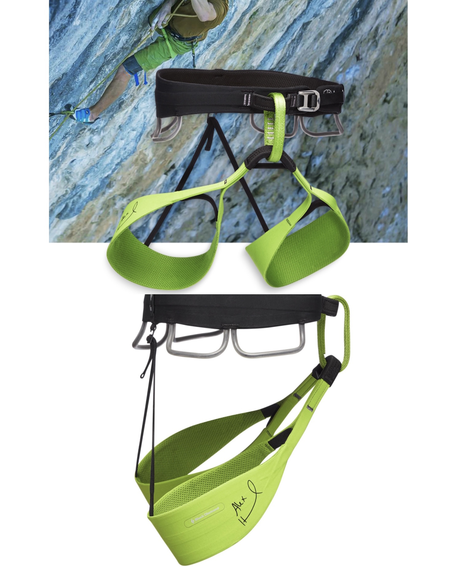 お待たせ! 明日遊 TreeUP、NOTCH、PETZL 登山用品 - softwareskills.eu