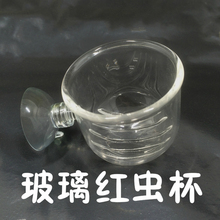 【玻璃灯鱼】_玻璃灯鱼图片