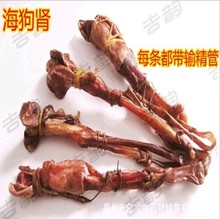 【海狗肾】_海狗肾图片