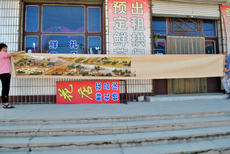 Вышивка крестиком Ручной работы вышивка крестом