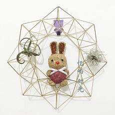 空气凤梨支架_空气凤梨支架