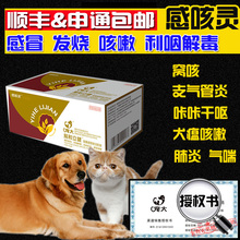 咳灵易和立健感冒药狗狗猫发烧流鼻涕咳嗽药