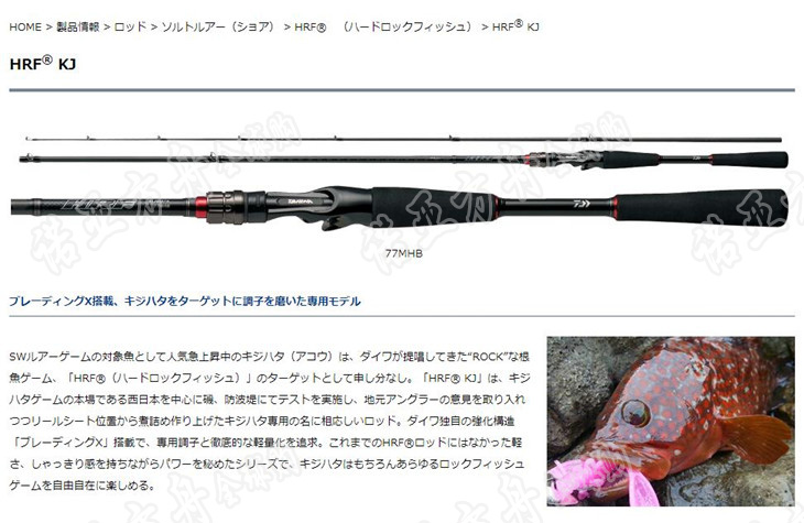 22款日本达亿瓦HRF海水根钓碳素竿79M直柄枪柄86MHB 石斑黑鲷鱼-Taobao
