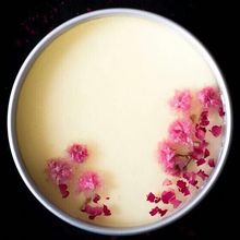 【盐渍樱花烘焙】_盐渍樱花烘焙图片