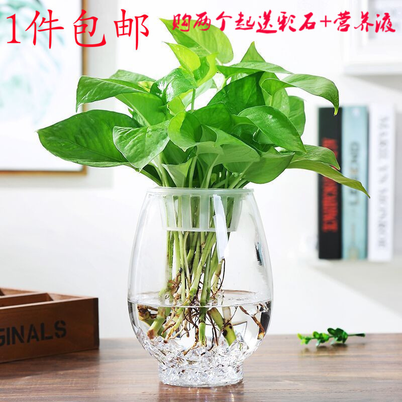 鱼缸活水机 竹哪个牌子好