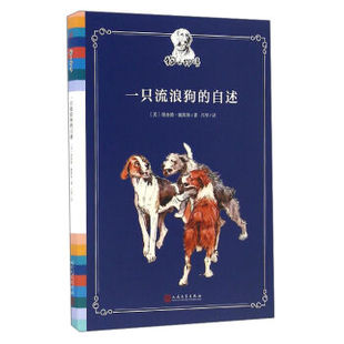 夹彩页笔记本子唯美插画空白页手帐本Q创意夜