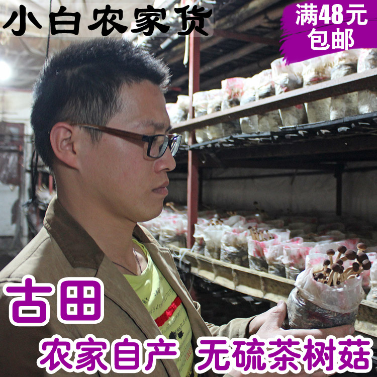 悦目之源菌菇水400哪个牌子好